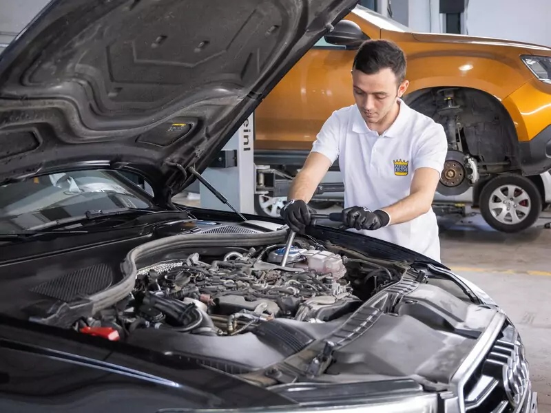 auto king mekanik bakım
